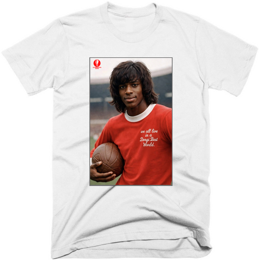 Dorgi Best - The T-Shirt