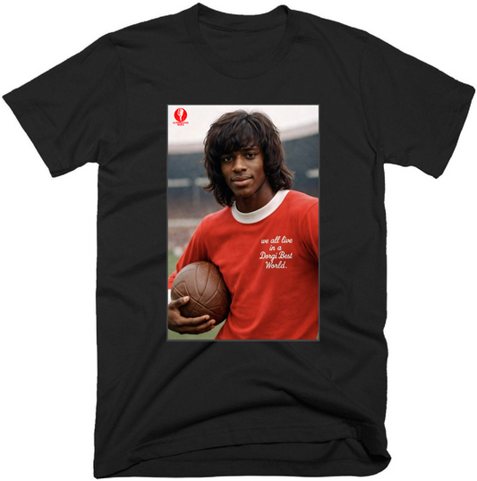 Dorgi Best - The T-Shirt