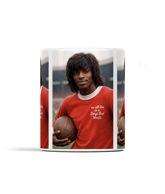 Dorgi Best - The Mug