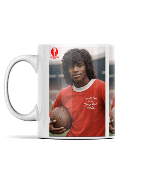 Dorgi Best - The Mug